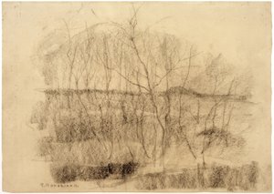 Landschap met bomen door Piet Mondrian